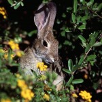 Diane Easley offers messages about clarifying your life